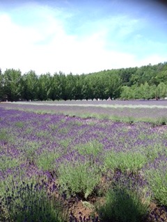 image1.JPG